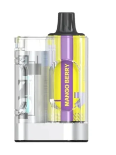 Flyto Switch mango berry 6000 Puffs Disposable Pod Kit – Rechargeable, 8ml E-liquid, Type-C Charging