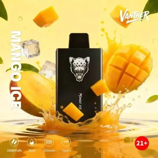 🔥 VANTHER 30,000 Puffs (30K) Disposable Vape 💨🥂