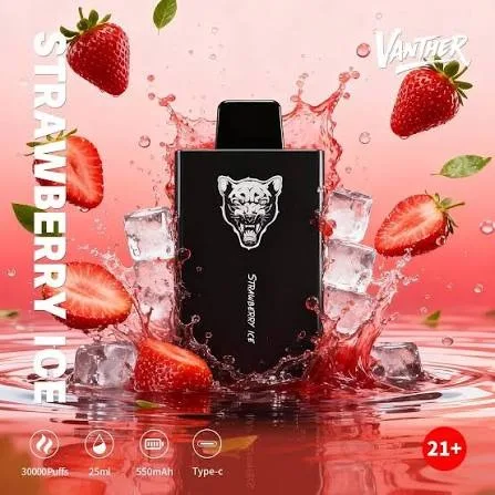 🔥 VANTHER 30,000 Puffs (30K) Disposable Vape 💨🥂