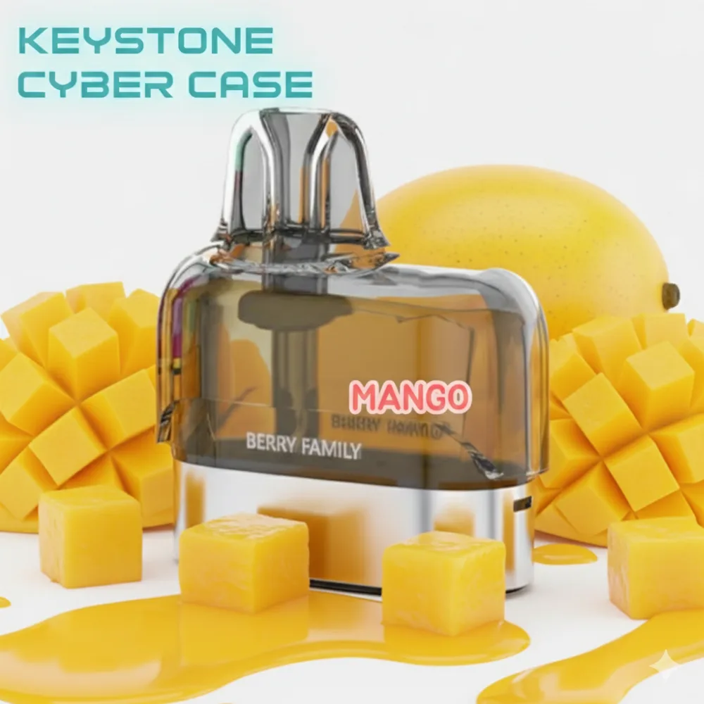 KEYTSTONE CYBER CASE ( Only cartridge )