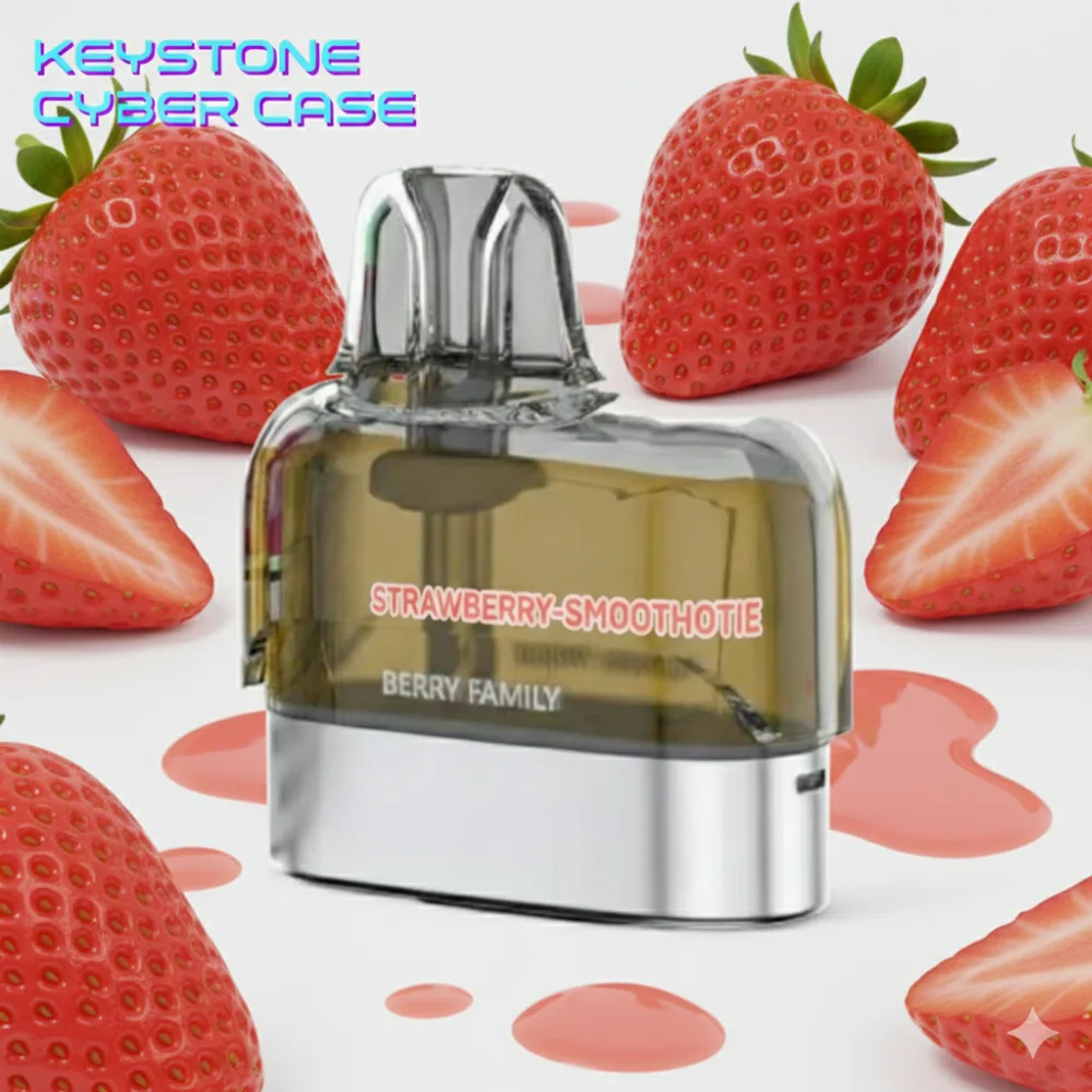 KEYTSTONE CYBER CASE ( Only cartridge )