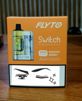 Flyto Switch mango berry 6000 Puffs Disposable Pod Kit – Rechargeable, 8ml E-liquid, Type-C Charging