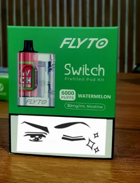 Flyto Switch watermelon 6000 Puffs Disposable Pod Kit – Rechargeable, 8ml E-liquid, Type-C Charging