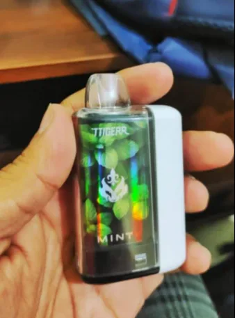 Ttigerr 18k Puffs Disposable Mint 1 Piece