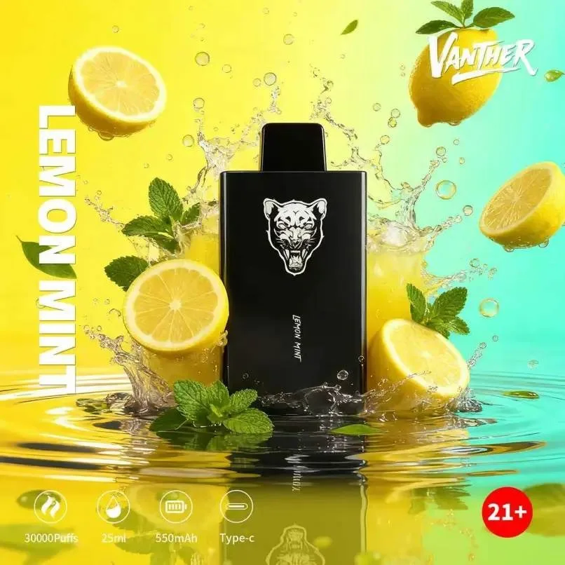 🔥 VANTHER 30,000 Puffs (30K) Disposable Vape 💨🥂