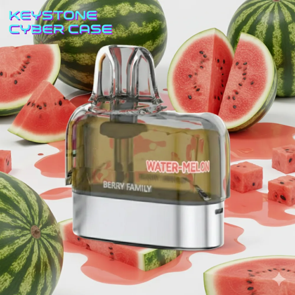 KEYTSTONE CYBER CASE ( Only cartridge )